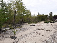 Пляж. 30 августа 2021 (пн).