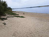 Пляж. 30 августа 2021 (пн).