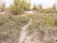 Пляж. 30 августа 2021 (пн).