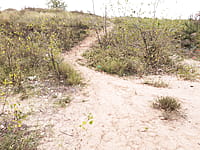 Пляж. 30 августа 2021 (пн).