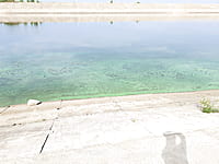 Река Волга. 30 августа 2021 (пн).