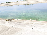 Река Волга. 30 августа 2021 (пн).