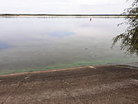 Река Волга. 30 августа 2021 (пн).