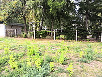Административно-бытовое здание. 23 августа 2021 (пн).