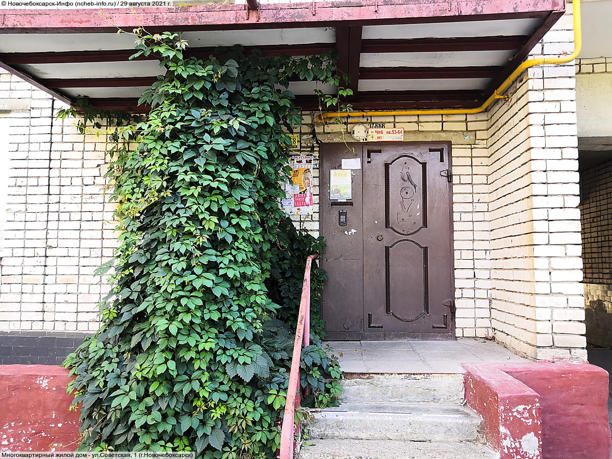 Многоквартирный жилой дом. 29 августа 2021 (вс).