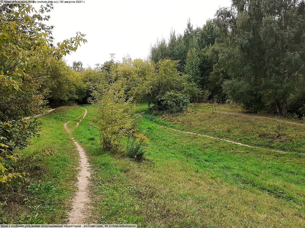 Парк культуры и отдыха "Ельниковская роща ". 30 августа 2021 (пн).