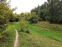 Парк культуры и отдыха "Ельниковская роща ". 30 августа 2021 (пн).