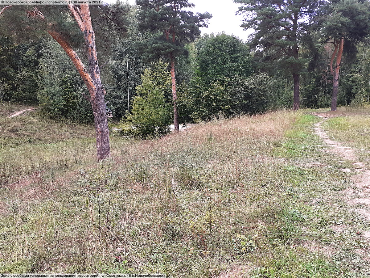 Парк культуры и отдыха "Ельниковская роща ". 30 августа 2021 (пн).