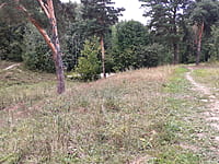 Парк культуры и отдыха "Ельниковская роща ". 30 августа 2021 (пн).