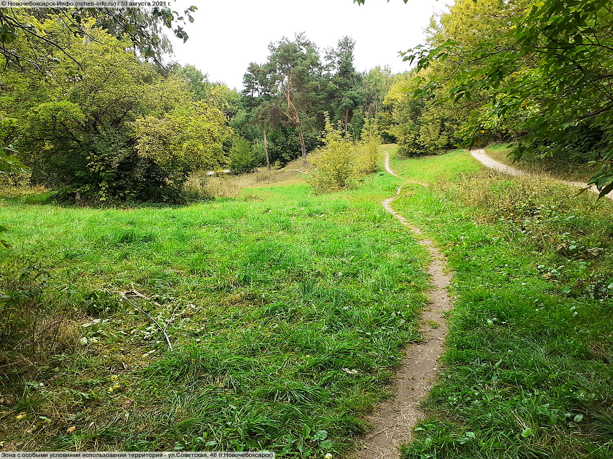 Парк культуры и отдыха "Ельниковская роща ". 30 августа 2021 (пн).