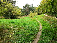 Парк культуры и отдыха "Ельниковская роща ". 30 августа 2021 (пн).