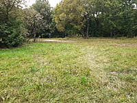 Парк культуры и отдыха "Ельниковская роща ". 30 августа 2021 (пн).