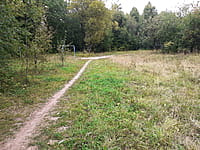 Парк культуры и отдыха "Ельниковская роща ". 30 августа 2021 (пн).