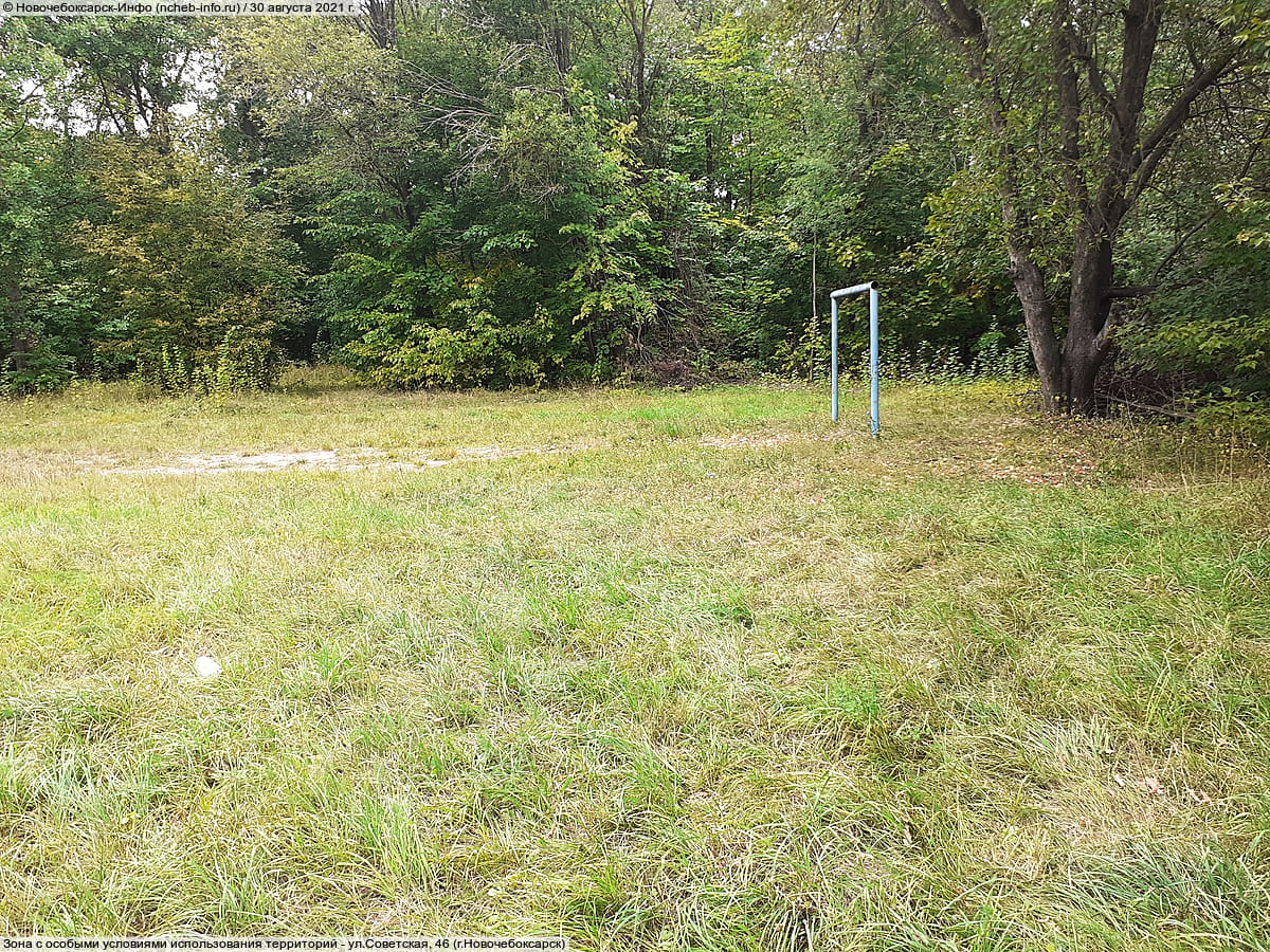 Парк культуры и отдыха "Ельниковская роща ". 30 августа 2021 (пн).