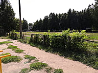 Спортивная площадка. 20 августа 2021 (пт).