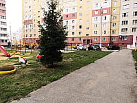 Многоквартирный жилой дом. 24 августа 2021 (вт).