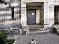 Многоквартирный жилой дом. 19 августа 2021 (чт).