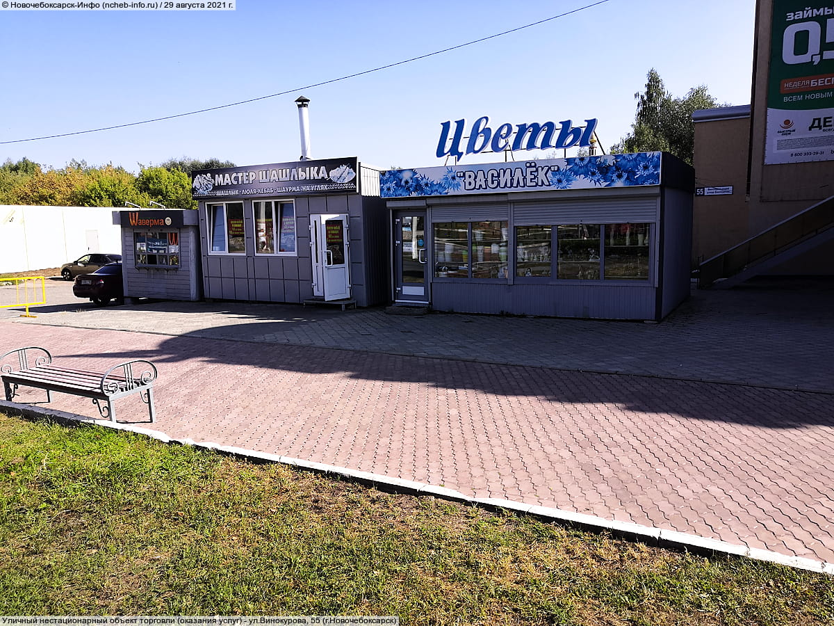 ул. Винокурова, 55 (г. Новочебоксарск) - уличный нестационарный объект торговли (оказания услуг).