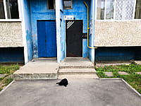 Многоквартирный жилой дом. 25 августа 2021 (ср).
