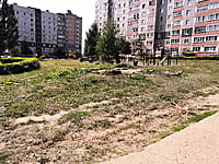 Многоквартирный жилой дом. 19 августа 2021 (чт).